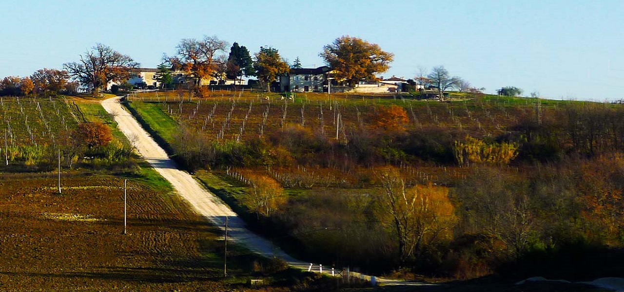 1.Morgan_restoran_Brtonigla_istra_17